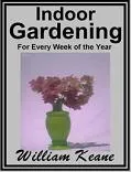 Indoor Gardening Guide