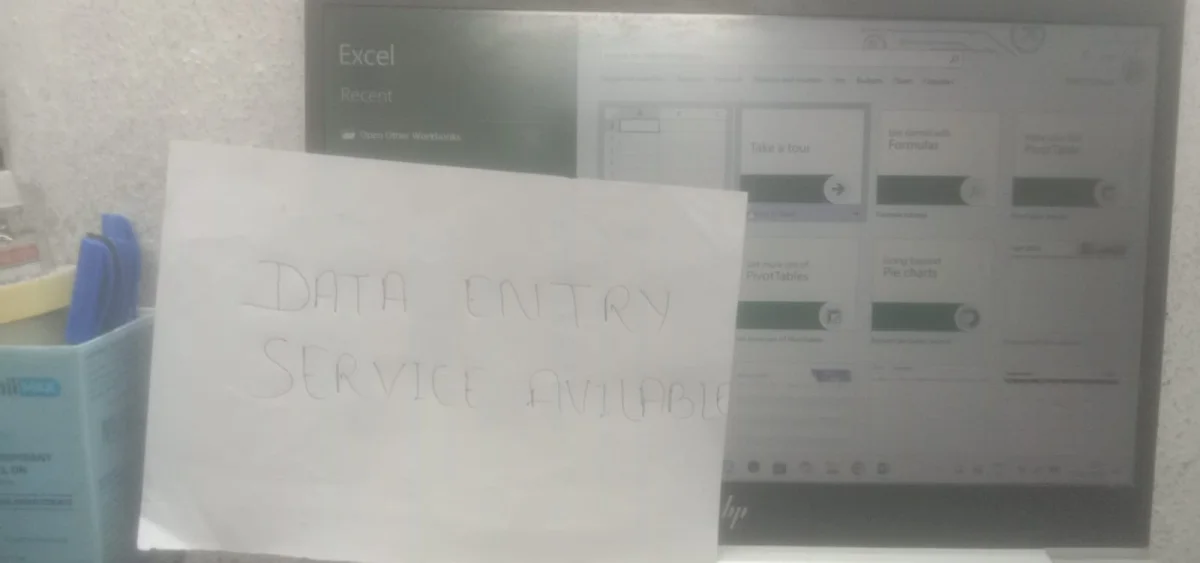 I will do accurate Data Entry, Excel and Word Typing work