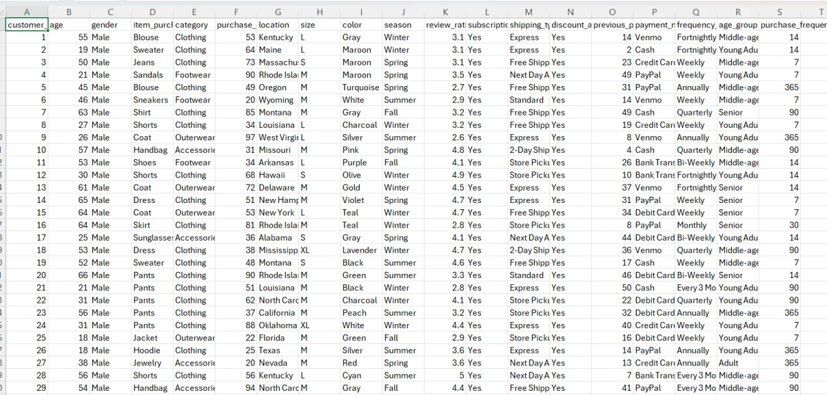 I will clean, organize, and format your Excel or CSV data