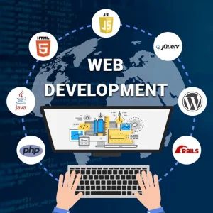I am a website developer and I will make custom website for you