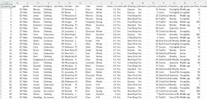 I will clean, organize, and format your Excel or CSV data