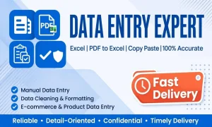 I will do accurate data entry, Excel work and PDF to Excel conversion