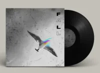 I will design a professional single cover or album cover art