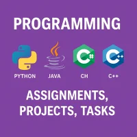 Expert Programming Support â€“ From C Basics to Advanced Java & Python