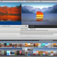 Speedy Solutions Sports Freelancer
