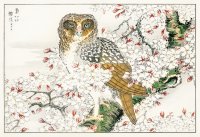 Enchanting Beauty Spells