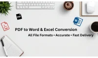 PDF to Excel Data Entry & File Conversion (100% Accuracy)