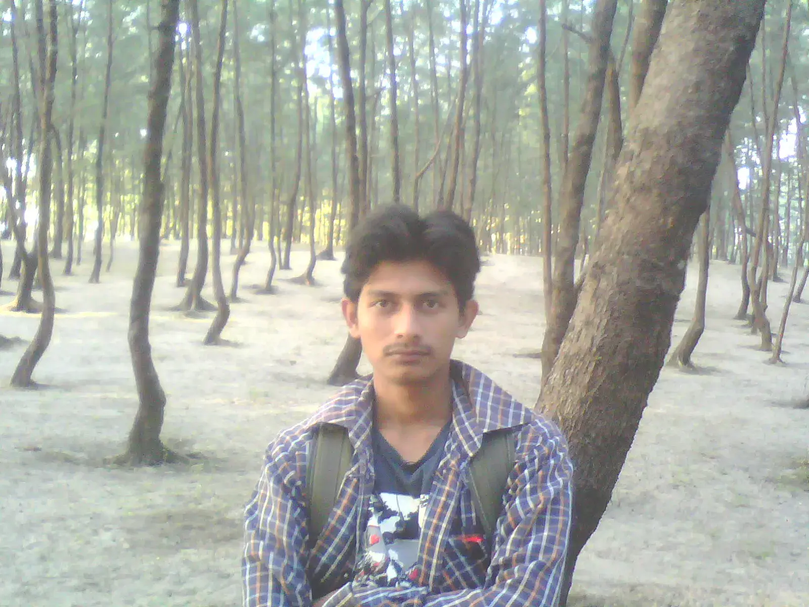no image