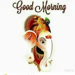ashwinika