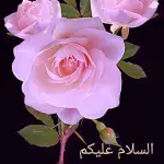 aysha