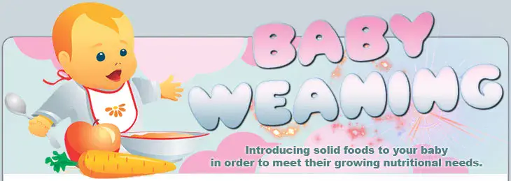 Baby Weaning