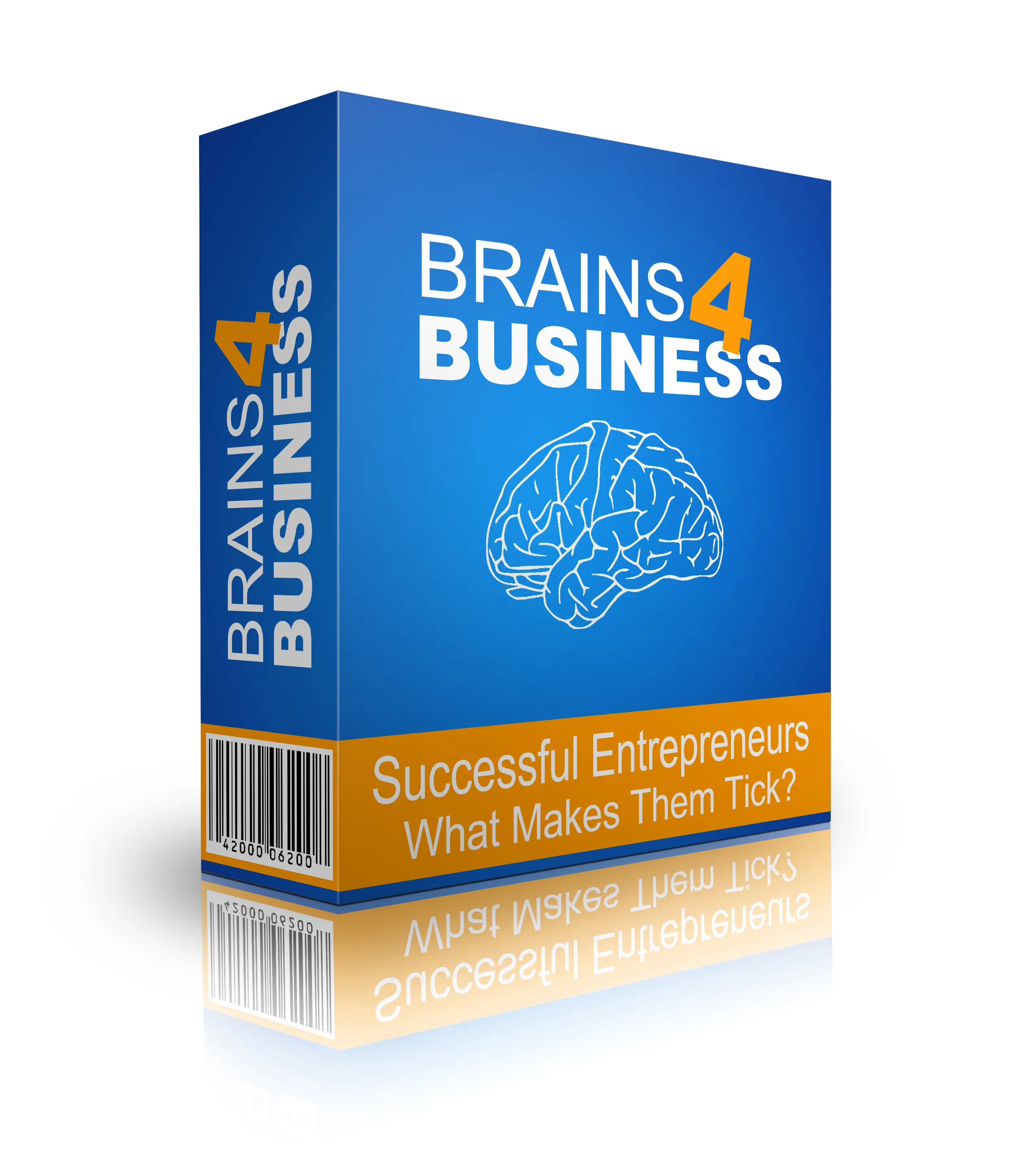 Brains 4 Business