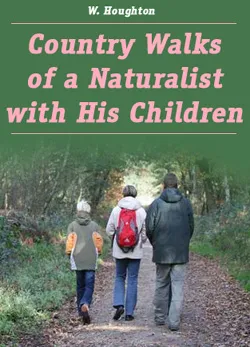 Country Walks Of A Naturalist With His Children