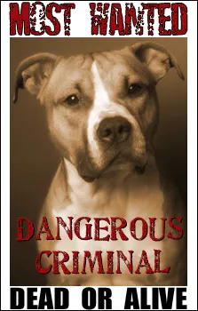 Dog Attack Survival Tips To Keep You And Your Family Safe