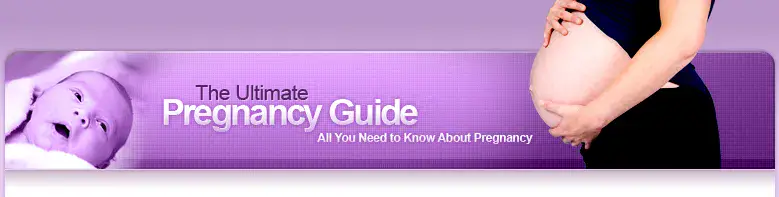 Food And Nutrition During The Pregnancy