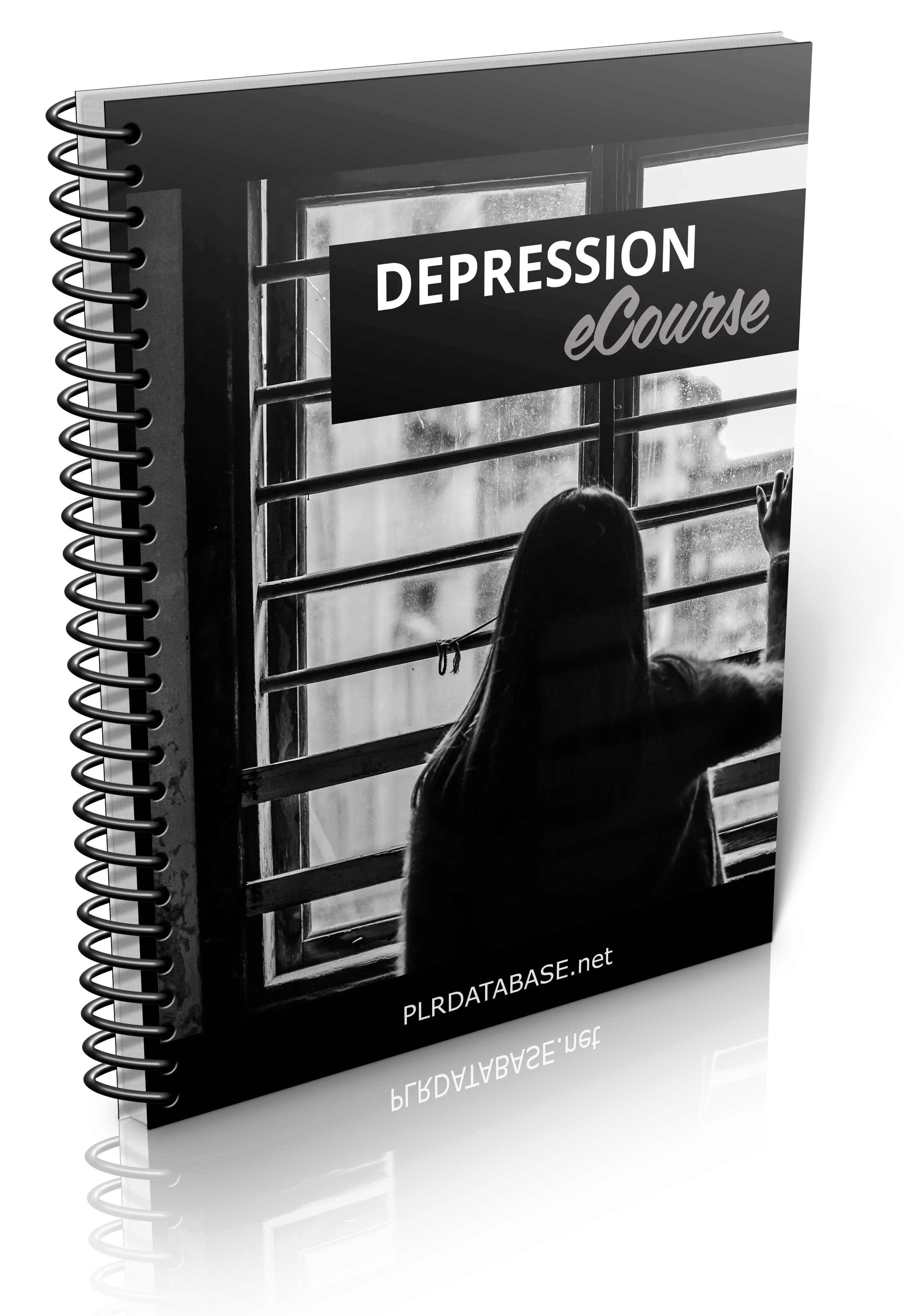 Depression Ecourse
