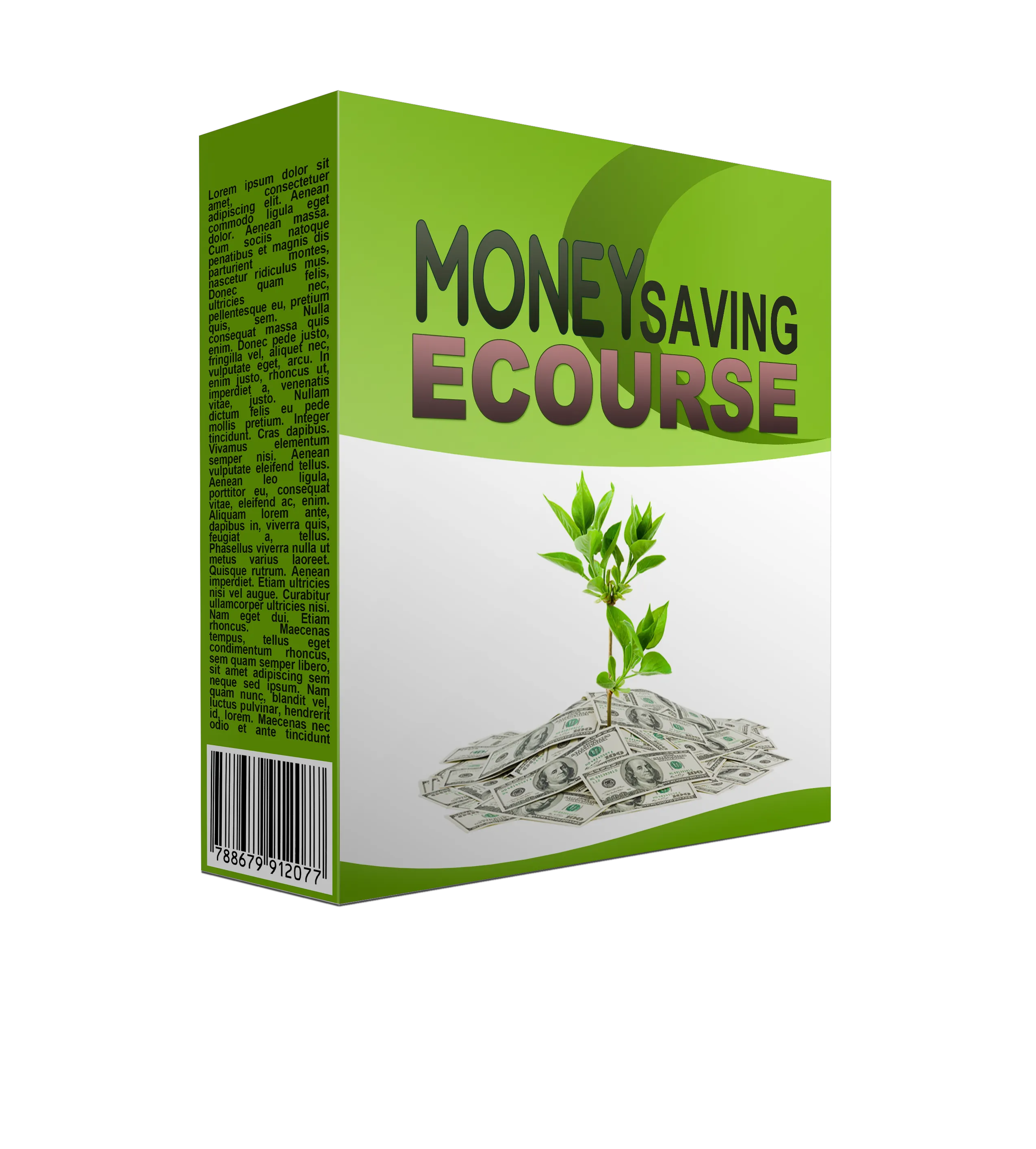 Money Saving Ecourse