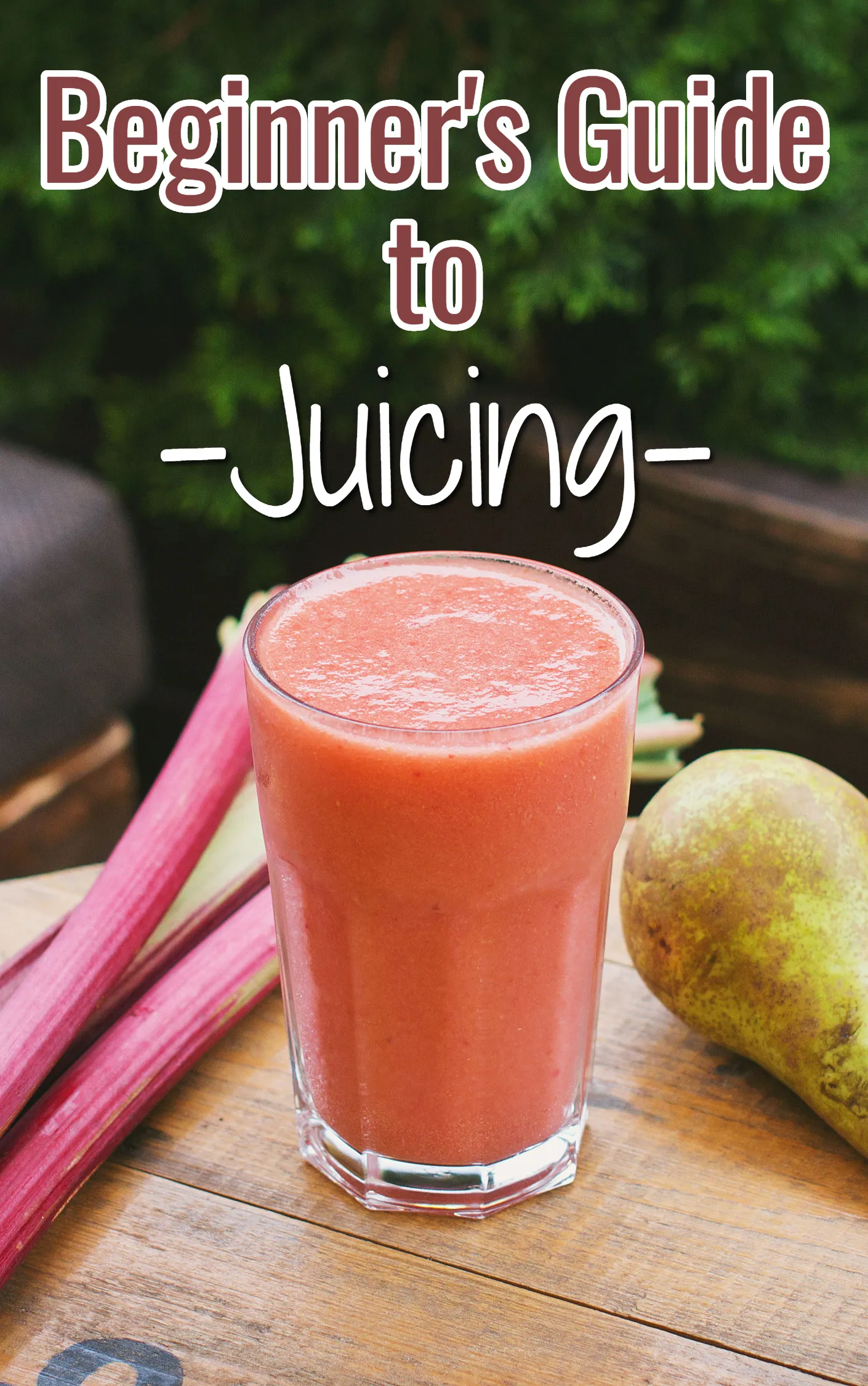 Beginners Guide To Juicing