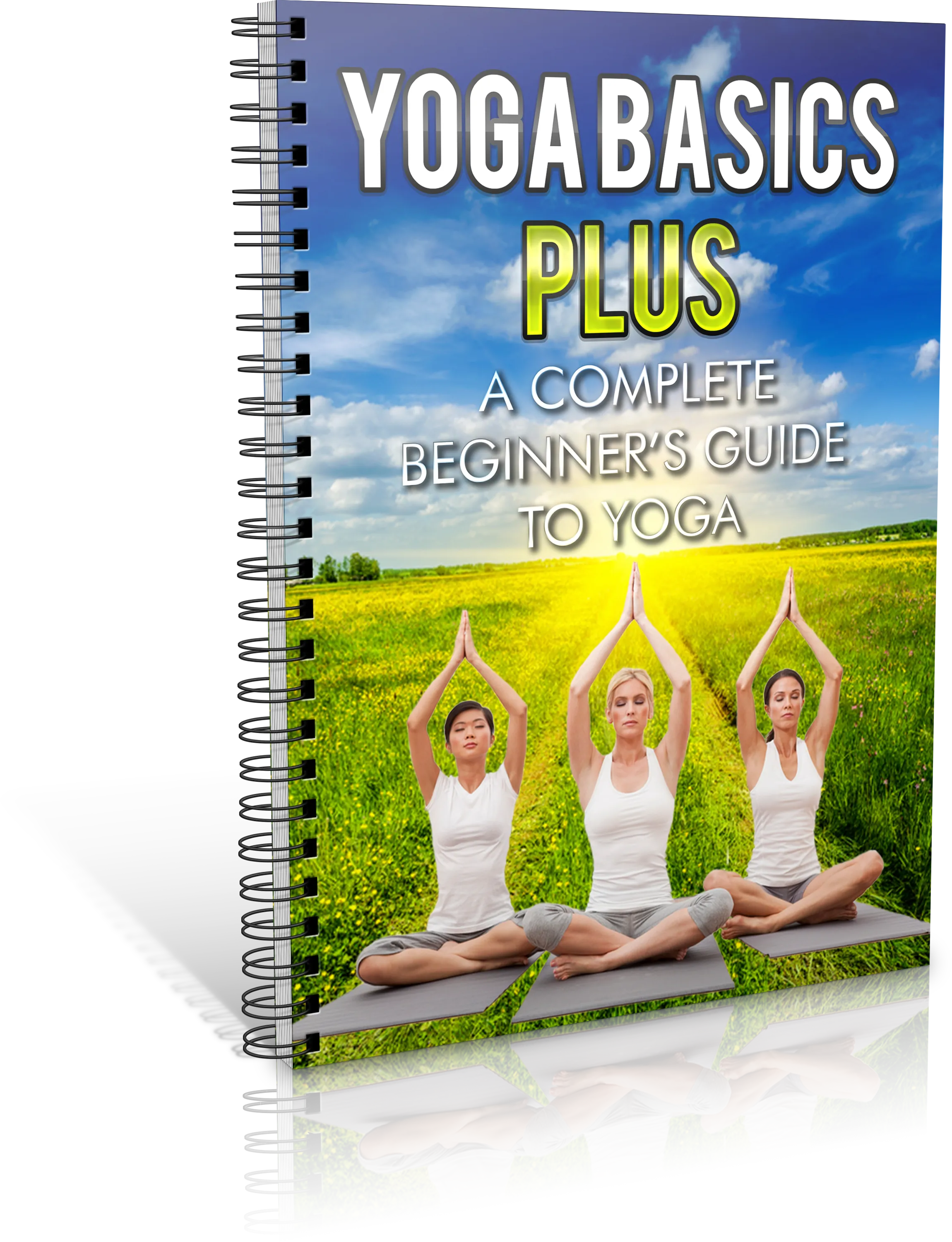 Yoga Basics Plus