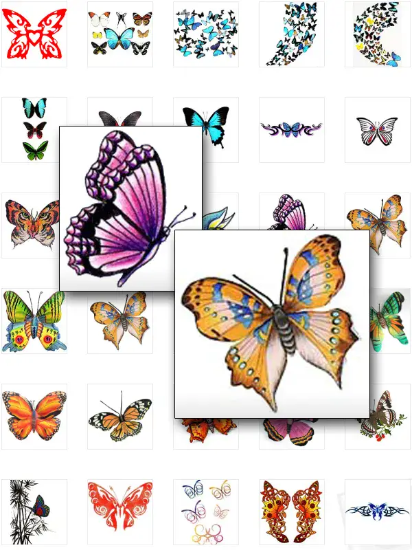 Colorful Butterflies