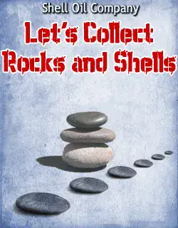 Lets Collect Rocks And Shells
