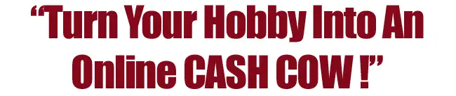 Newbies Guide To Online Hobby Profits