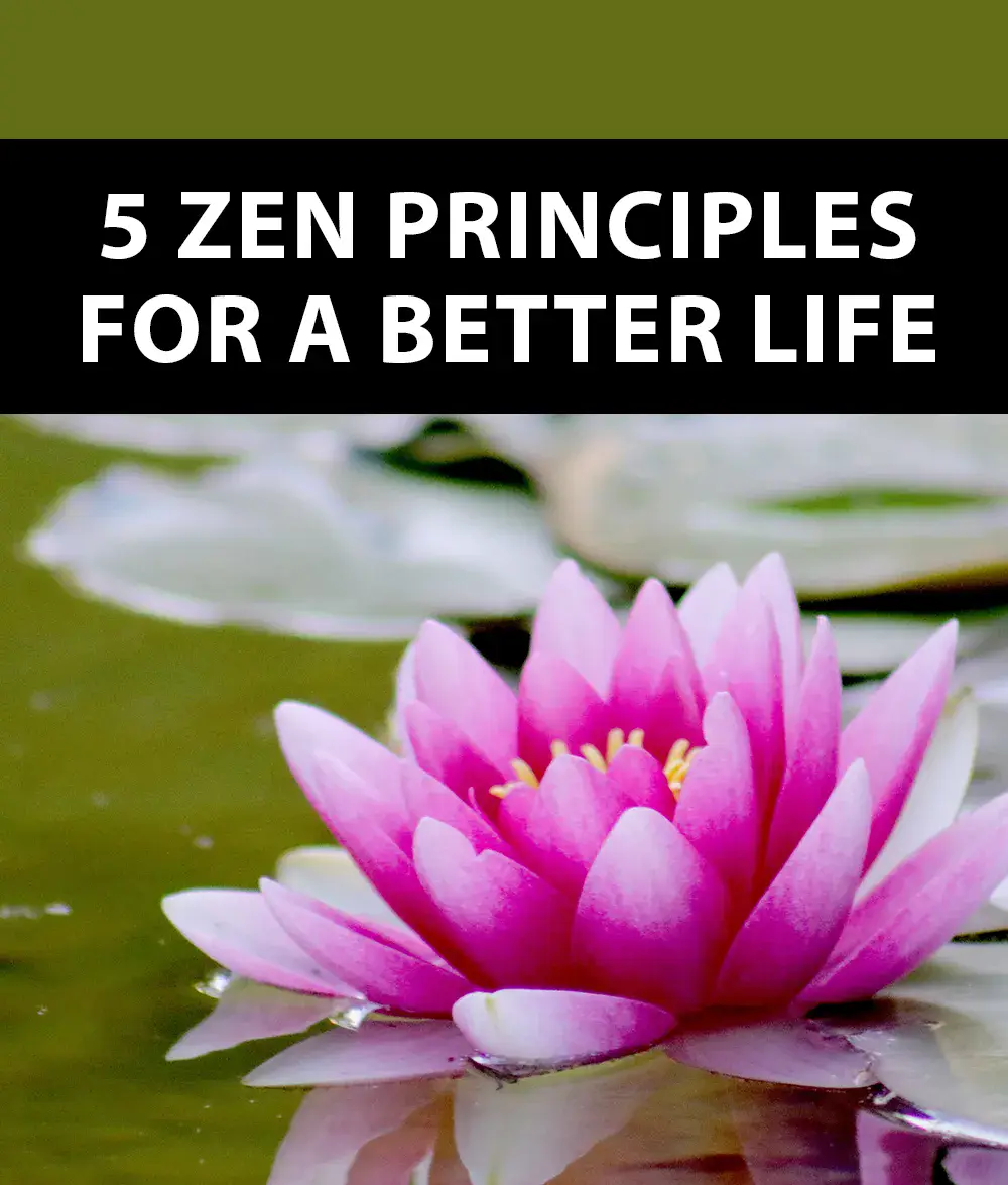 5 Zen Principles For A Better Life