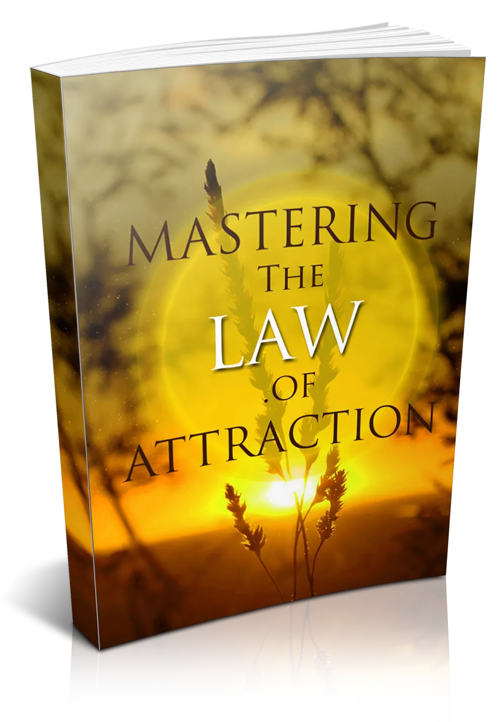 Mastering The Law Of Attraction