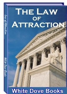 The Law Of Attraction (2)