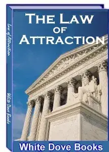 The Law Of Attraction (2)