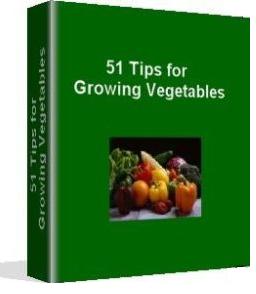 51 Tips For Growing A Vegetable Garden (1)