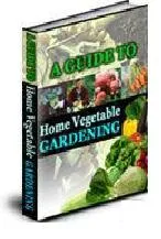 A Guide To Home Vegetable Gardening