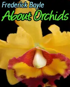 About Orchids