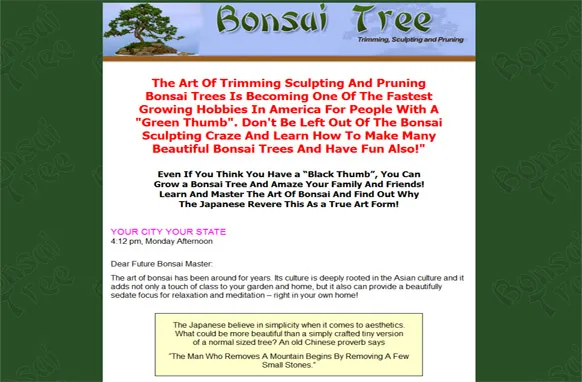 Bonsai Tree