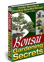 Bonsi Gardening Secrets