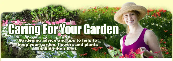 Caring For Your Garden