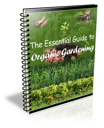Essential Guide To Organic Gardening