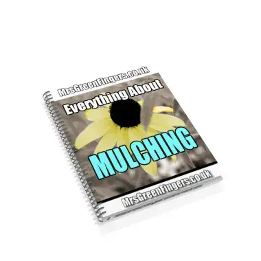 Everything About Mulching