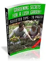 Gardening Secrets For A Lush Garden