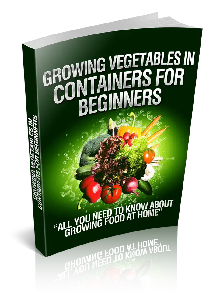 Growing Vegetables In Containers For Beginners