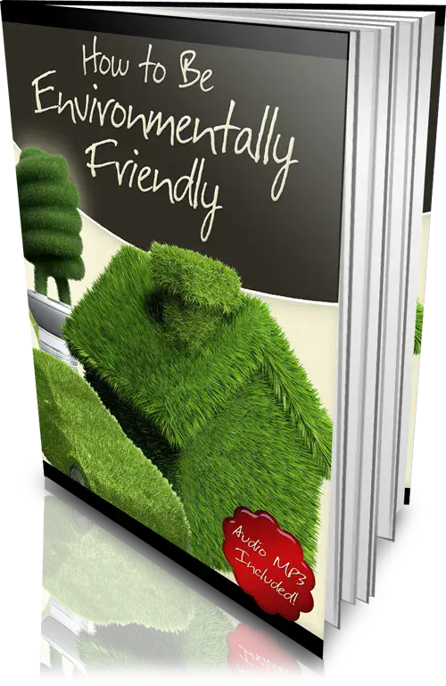 How To Be Environmentally Friendly