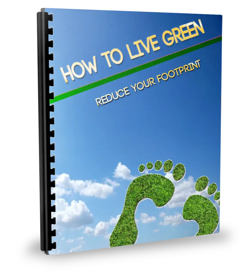 How To Live Green