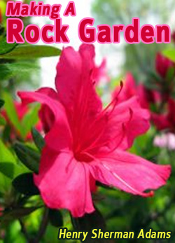 Making A Rock Garden