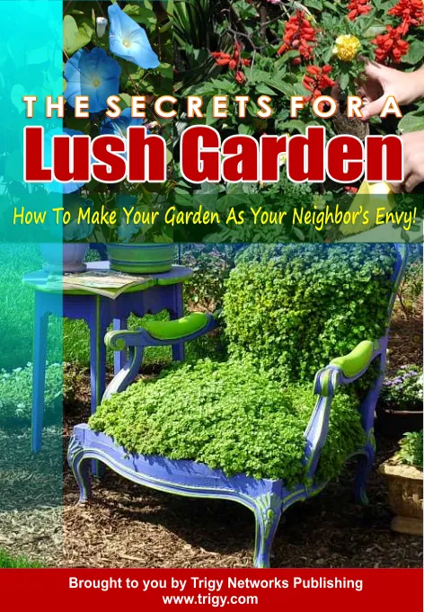 The Secrets For A Lush Garden Edition 2