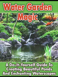 Why Water Gardens