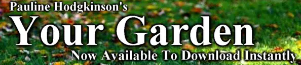 Your Garden (1)