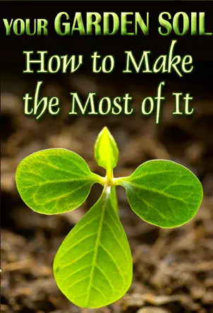 Your Garden Soil