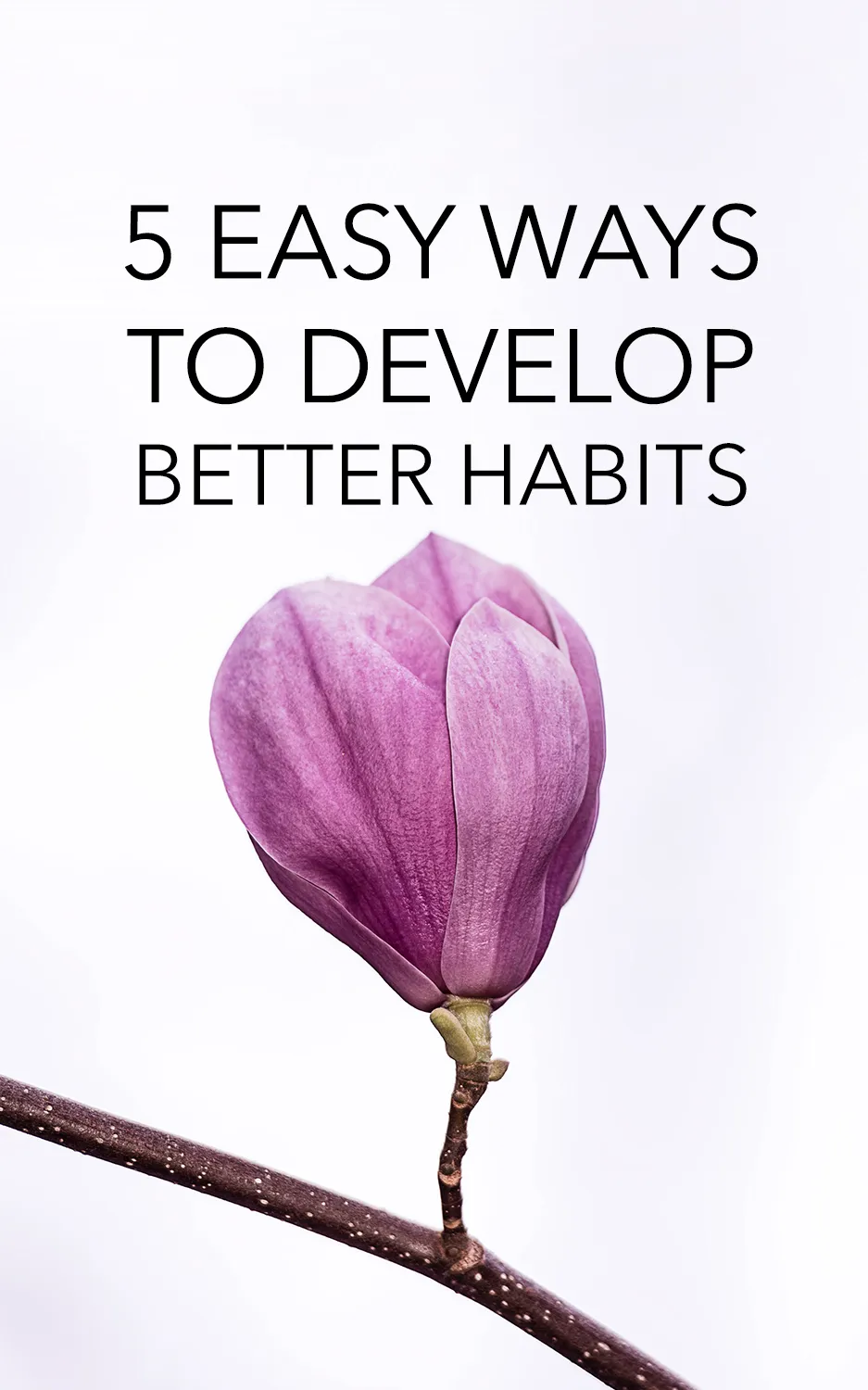 5 Easy Ways To Develop Better Habits