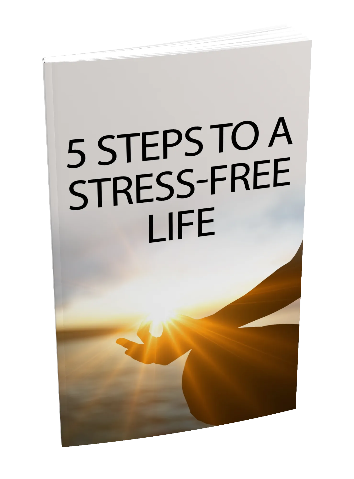 5 Steps To A Stress Free Life