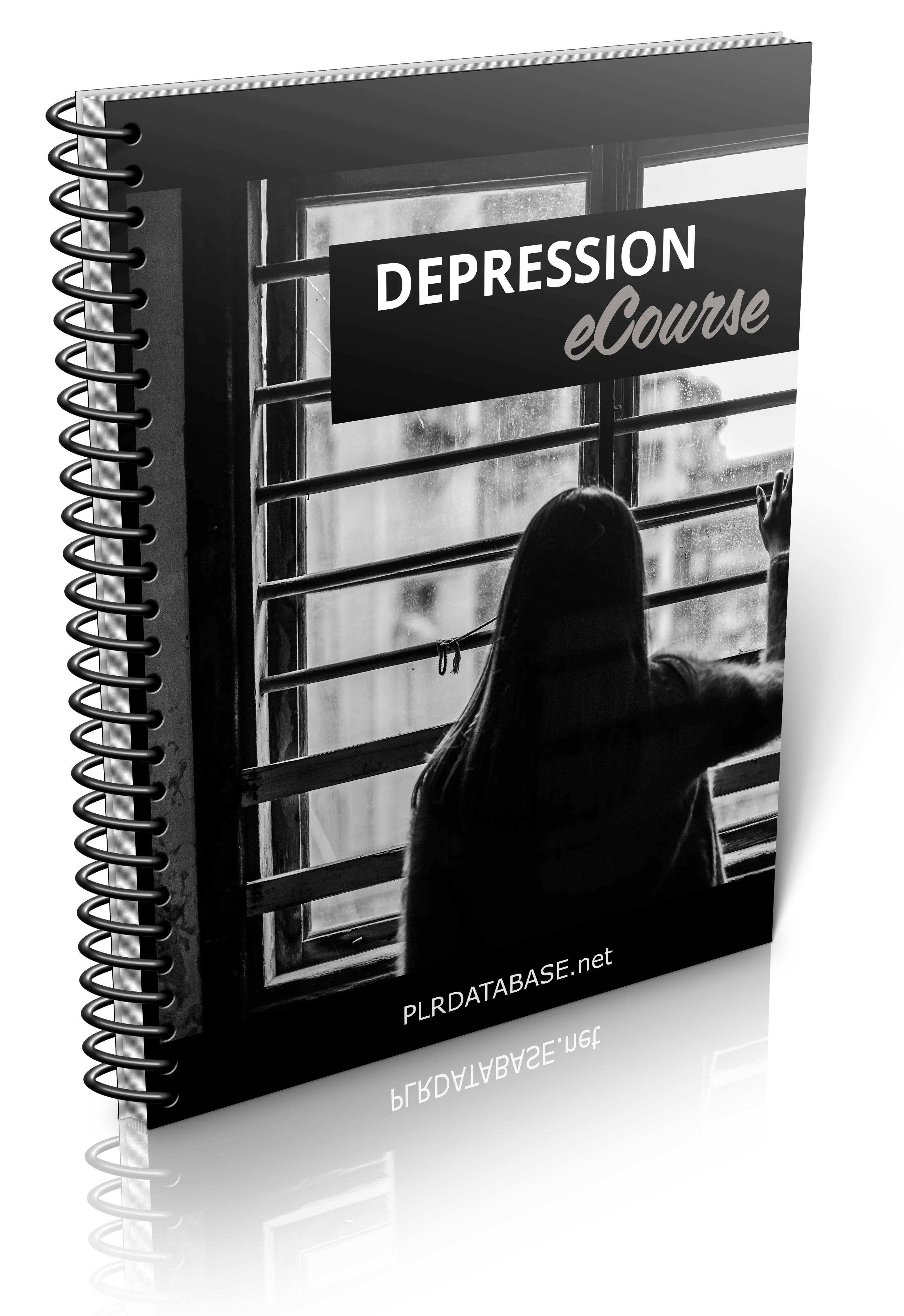 Depression Ecourse